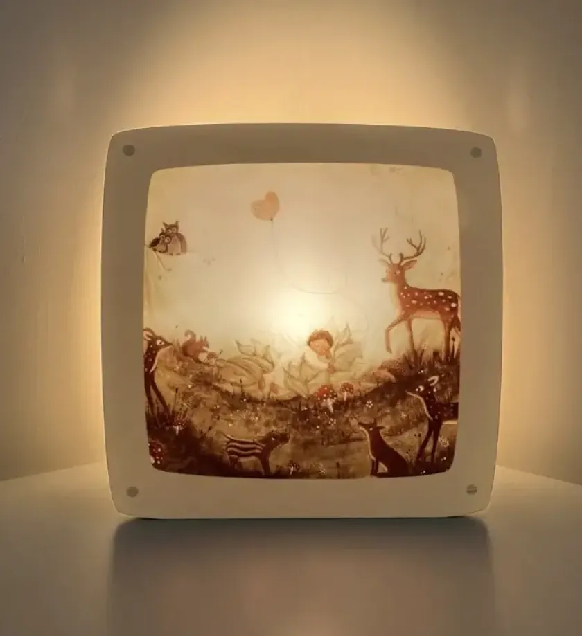 Bijdehansje Toverplaat Baby Dream