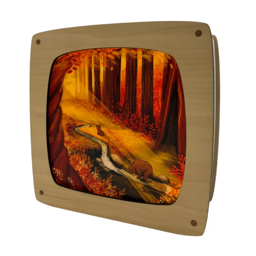 Hannah Illustreert Toverplaat Bears