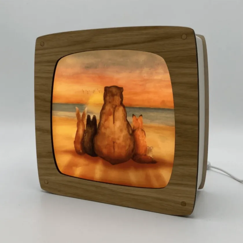 Lotte Drouen Toverplaat Watching Sunset